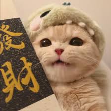 Avatar do usuário Pedro